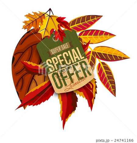 Autumn sale label. Special offer. 24741166
