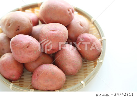皮の赤いジャガイモ〜レッドアンデス 24742311