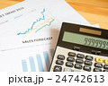 Finance information on business charts and tables 24742613