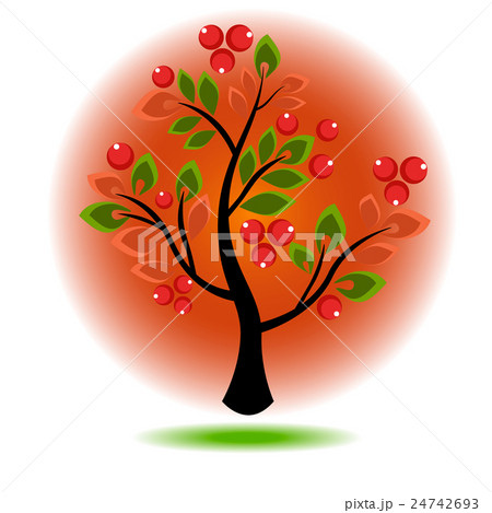 Tree growing berries and leaves Tree growing berries and leaves 24742693