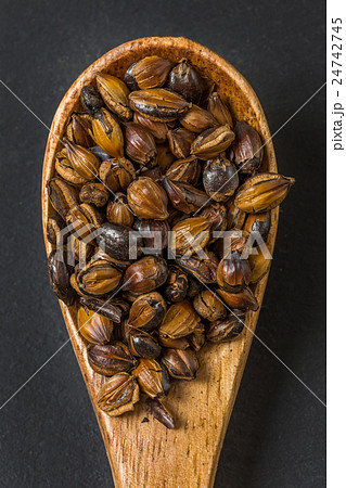 麦茶 Japanese green tea barley tea 24742745