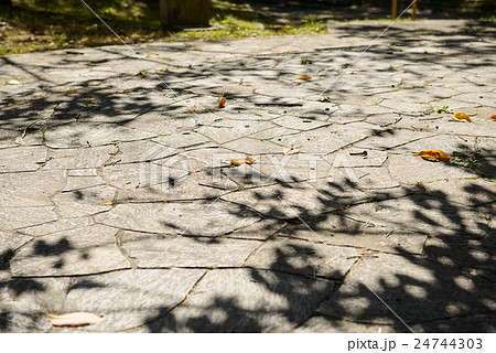 毛馬桜ノ宮公園 24744303