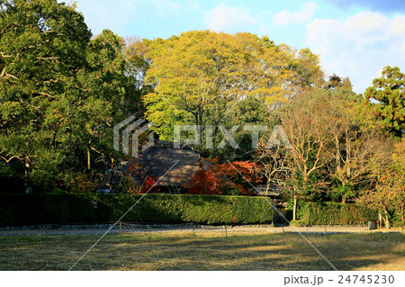 京都 嵐山 落柿舎 京都 嵐山 落柿舎 24745230