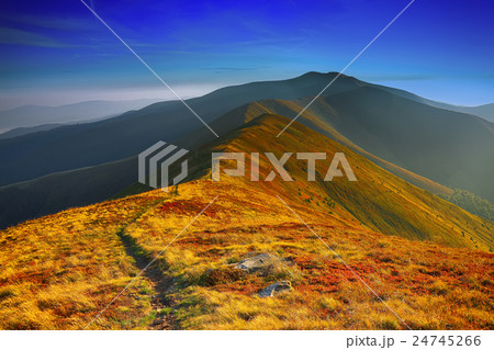 winding road through meadows of mountain range winding road through meadows of mountain range 24745266