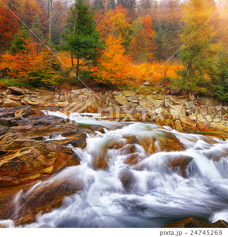 rapid mountain river in autumn rapid mountain river in autumn 24745269