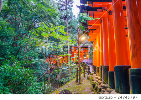 Red Tori Gate at Fushimi Inari Shrine Temple in Kyoto, Japan Red Tori Gate at Fushimi Inari Shrine Temple in Kyoto, Japan 24745797