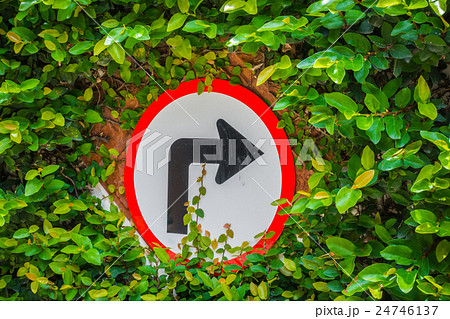 Turns to the right sign with green leaf Turns to the right sign with green leaf 24746137