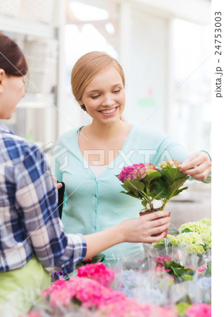 happy women choosing flowers in greenhouse or shop happy women choosing flowers in greenhouse or shop 24753003