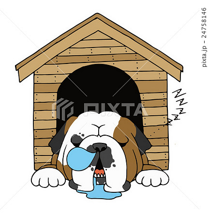 Dog sleeping 2024 in kennel