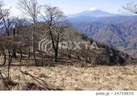 檜洞丸より初冬の富士山眺望 檜洞丸より初冬の富士山眺望 24758650
