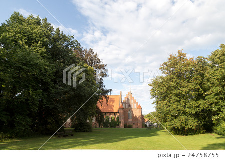 Wienhausen Abbey near Celle, Germany 24758755