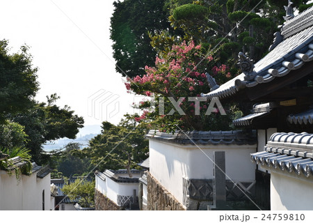 【中国三十三観音霊場】第二番　余慶寺の塔頭の夏の風景　岡山県瀬戸内市 24759810