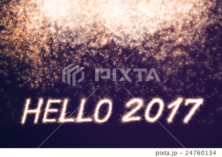 2017 2017 24760134