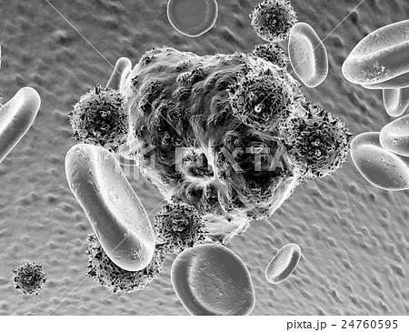Nk細胞とがん細胞 赤血球のイラスト素材