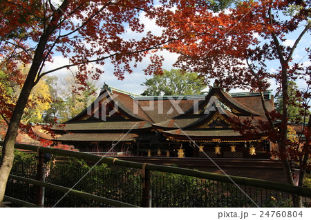 北野天満宮の紅葉 北野天満宮の紅葉 24760804