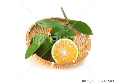 みかん 24761504