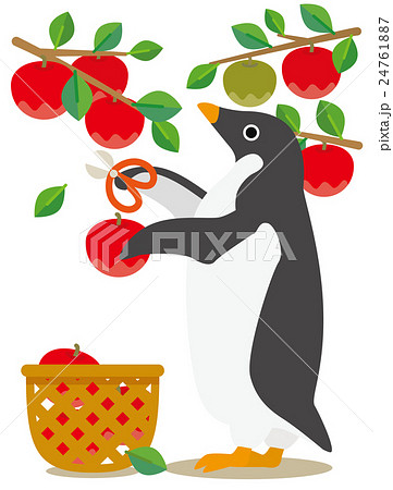 アデリーペンギン りんご狩りのイラスト素材