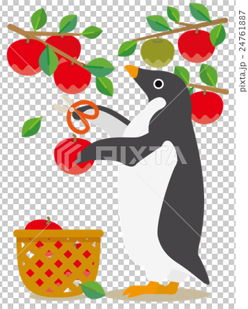 アデリーペンギン りんご狩りのイラスト素材