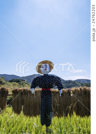 案山子 案山子 24762203