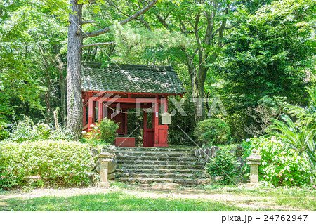 伊豆山神社　本宮社 24762947