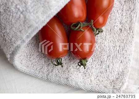 トマト ﾄﾏﾄ とまと 24763735