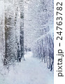 winter forest road among snow - xmas nature scene 24763782