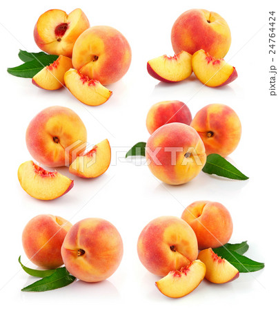 food and drink 24764424