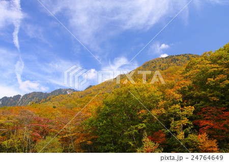 平湯温泉の黄葉 24764649