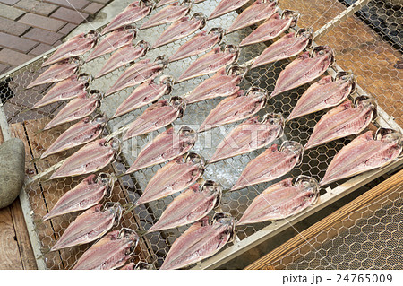 鯵　天日干し 24765009