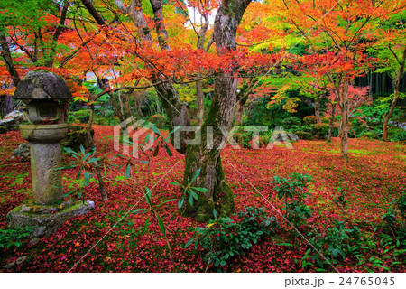 Fall color at Enkoji garden, Kyoto Fall color at Enkoji garden, Kyoto 24765045