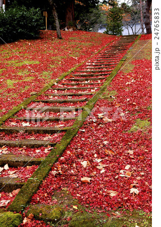 秋の土津神社 24765833