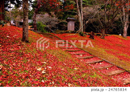 秋の土津神社 24765834