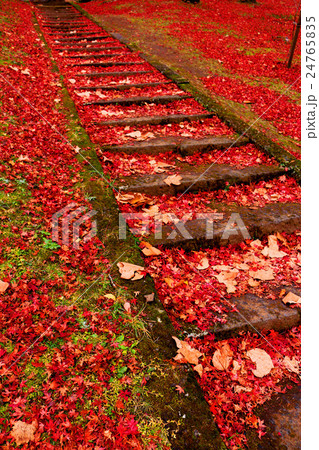 秋の土津神社 24765835