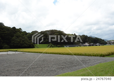 秋の神宮神田 秋の神宮神田 24767040