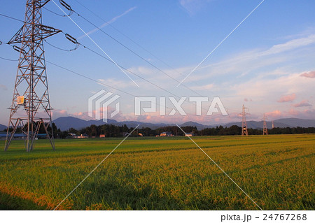 田んぼと鉄塔と秋の空 田んぼと鉄塔と秋の空 24767268