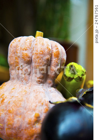 京野菜 鹿ケ谷南瓜 京野菜 鹿ケ谷南瓜 24767561