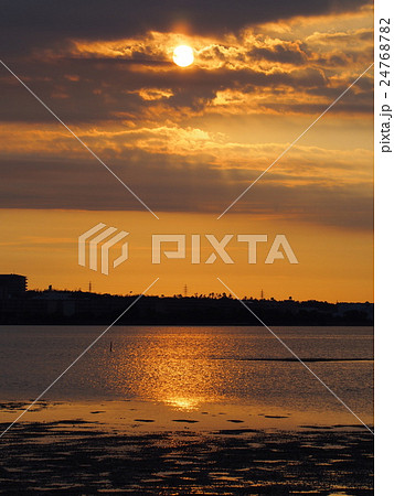 福岡市和白干潟の夕暮れ 福岡市和白干潟の夕暮れ 24768782