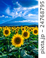 ひまわりと夏富士 24768795