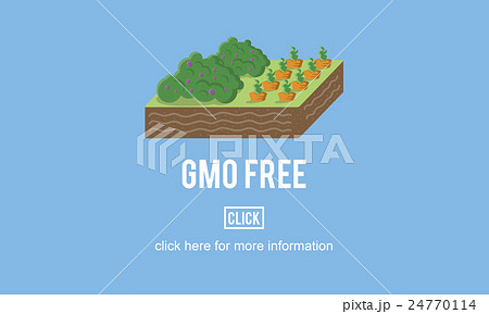 Organic Agriculture Crop Environment Growing Concept Organic Agriculture Crop Environment Growing Concept 24770114