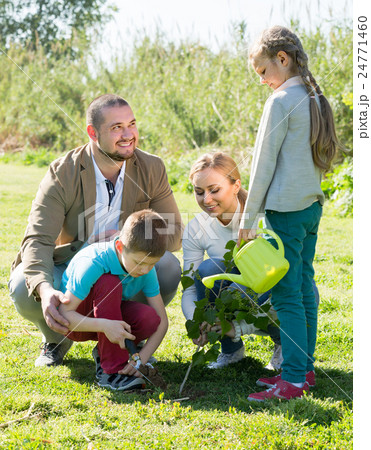 family planting tree outdoors family planting tree outdoors 24771460