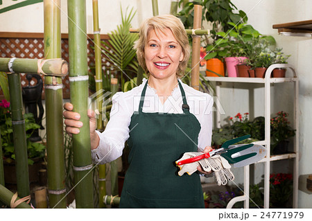 Florist with tools in floral shop. 24771979