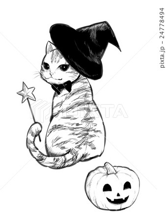 魔法使いねこ 24778494