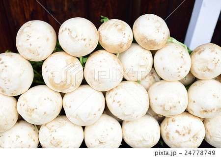 聖護院かぶら 24778749