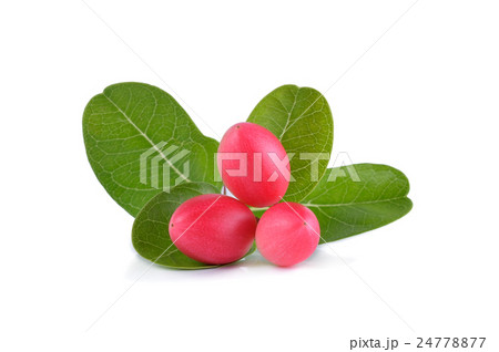 Karanda fruit on white background 24778877