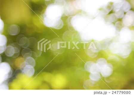 Natural green blurred background. Natural green blurred background. 24779080