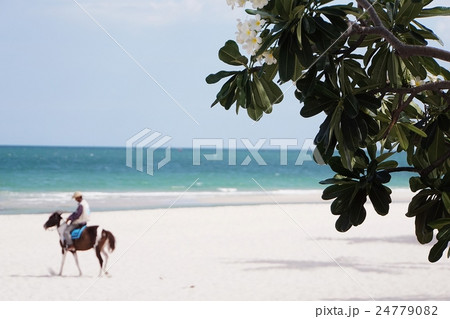 タイ王国ホアヒンビーチ、フアヒンビーチ、ファヒンビーチ(Hua Hin Beach) タイ王国ホアヒンビーチ、フアヒンビーチ、ファヒンビーチ(Hua Hin Beach) 24779082