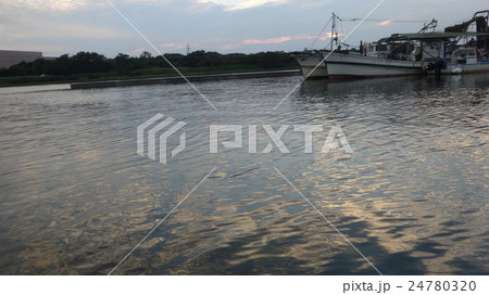 河口の夕暮れ 24780320