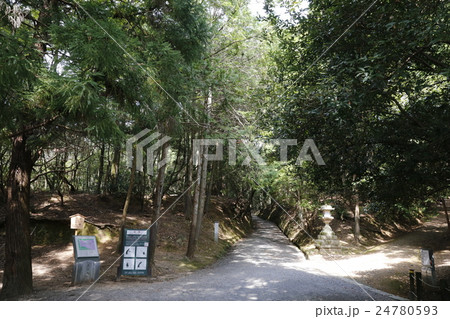 奈良県  春日大社 24780593