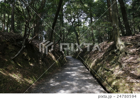 奈良県  春日大社 24780594