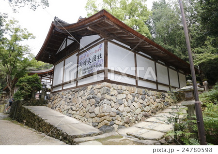 奈良県  春日大社 24780598